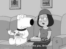 Family Guy Hairpie GIF - Family Guy Hairpie Brian GIFs