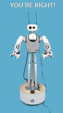 a robot with the words you 're right on the bottom