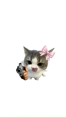 a cat with a pink bow on its head holds a gun