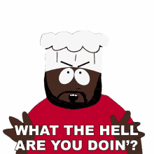 what the hell are you doin jerome chef mcelroy south park s3e2 spontaneous combustion