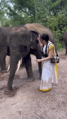 Adah Sharma Elephant GIF - Adah Sharma Elephant Hug GIFs