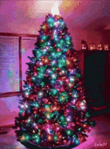 Christmas Tree Rotate GIF