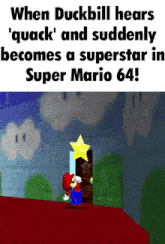 Super Mario 64 Duckbill GIF