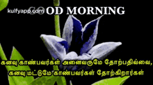 Good Morning Wishes.Gif GIF - Good Morning Wishes Goodmorning Text GIFs