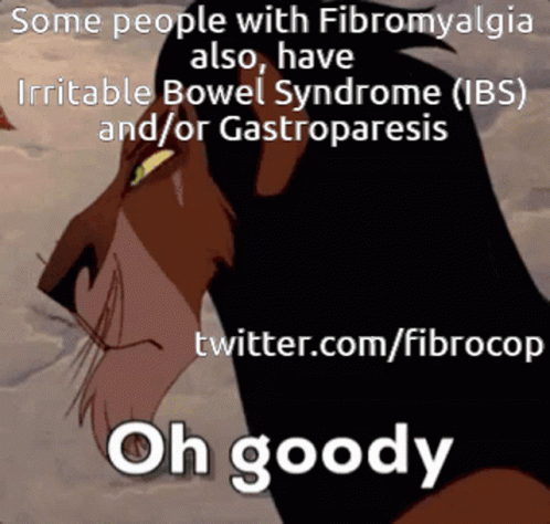 Fibromyalgia Irritable Bowel Syndrome Ibs Gastroparesis Chronic Pain GIF - Fibromyalgia Irritable Bowel Syndrome Ibs Gastroparesis Chronic Pain GIFs