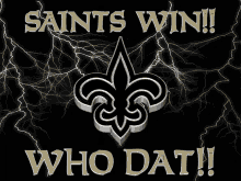 Saints Win Who Dat New Oleans GIF - Saints Win Who Dat New Oleans Nfl GIFs
