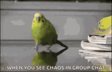 Chaos Groupcha GIF - Chaos Groupcha Run GIFs