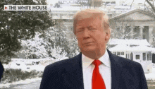 donald trump is wearing a suit and tie and standing in front of a snowy white house .