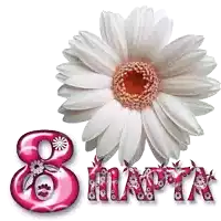 a white flower with the number 8 in pink