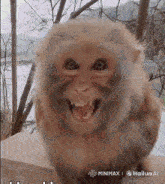 a close up of a monkey 's face with a watermark that says hailuo ai