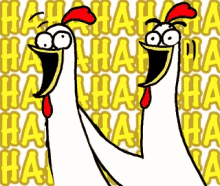 Chicken Bro Chicken GIF - Chicken Bro Chicken Hahaha GIFs