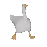 a white goose with a yellow beak and feet