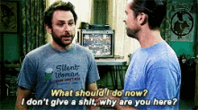 Its Always Sunny What Should I Do GIF - Its Always Sunny What Should I Do I Dont Give A Shit GIFs