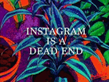 instagram is a dead end garden graphic art illustration quickhoney