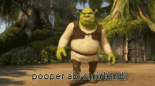 Pooper Shrek GIF - Pooper Shrek GIFs