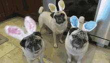 Happy Easter Flower GIF - Happy Easter Flower Dog GIFs