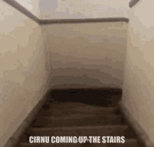 Cirno Fumo Stairs GIF - Cirno Fumo Stairs GIFs