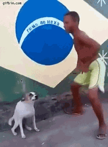 Dog Dance GIF