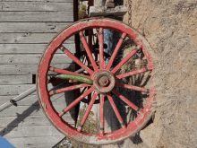 Wagon Wheel Cucumber GIF - Wagon Wheel Cucumber Ev Bot GIFs