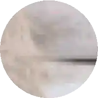 a close up of a circle with a black border on a white background