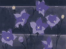 Raining Flowers GIF - Raining Flowers GIFs
