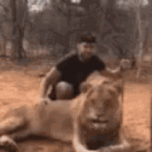 Lion Scare GIF - Lion Scare Joke GIFs