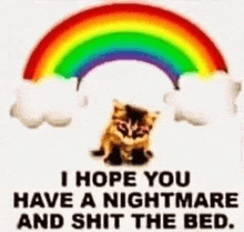 a cat is sitting under a rainbow with a nightmare and shit the bed .