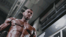Working Out Body Builder GIF