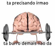 a brain holding a barbell with the words ta precisando irmao ta burro demais nao da