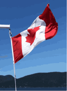 Canada Flag GIFs | Tenor