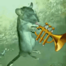 Trumpet Mouse GIF