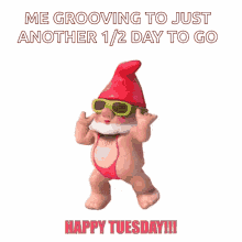 Happy Tuesday Gnome GIF