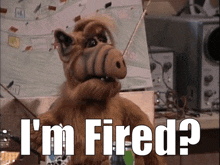 Alf Im Fired GIF - Alf Im Fired Fired GIFs