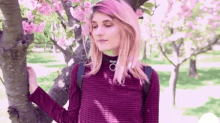 Danna Alquati Pink GIF - Danna Alquati Pink Cherry Blossom GIFs