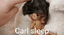 Carl Carl Sleep GIF - Carl Carl Sleep Rat GIFs