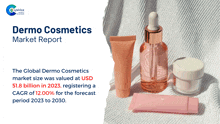 Dermo Cosmetics Market Report 2024 GIF