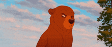 a cartoon bear is sitting in front of a tree