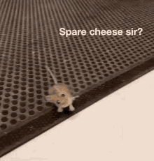 Mouse Spare GIF - Mouse Spare Cheese GIFs