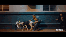 Stealing Snipe GIF - Stealing Snipe Goat Tribe GIFs