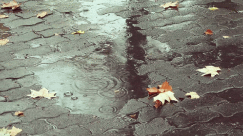 falling rain gif