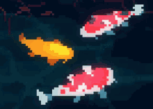 Animated Koi Fish GIFs | Tenor
