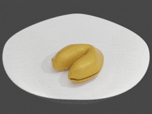 Fortunecookie Techolay GIF