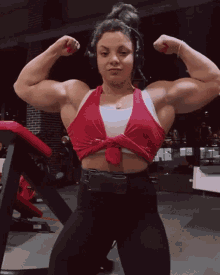 Fbb Female Bodybuilder GIF - Fbb Female Bodybuilder Muscle Woman GIFs