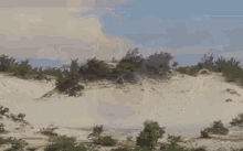 Beaches Are Dangerous. Just Stay Inside. GIF - Beach Explosion Bomb GIFs