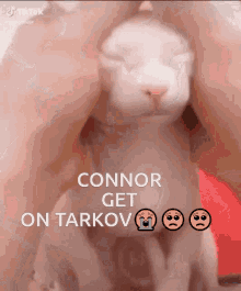 Tarkov Escape From Tarkov GIF - Tarkov Escape From Tarkov Connor GIFs