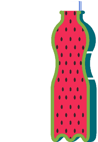 Watermelon Bottle Sticker - Watermelon Bottle Plastic Bottle Stickers