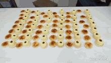 a bunch of cookies are on a table and the words made in animatica are on the bottom