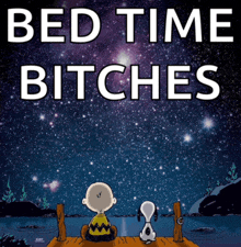 snoopy and charlie brown sitting on a dock looking at the stars