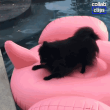 Dog Fell Down Into The Water Fail GIF - Dog Fell Down Into The Water Fail Sinking GIFs