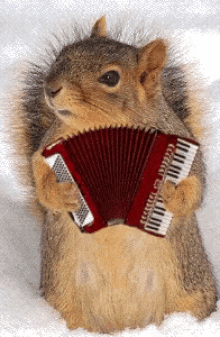 Playing Music All Day GIF